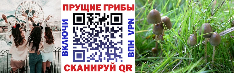 MEGA рабочий сайт  Кочубеевское  Галлюциногенные грибы MAGIC MUSHROOMS 